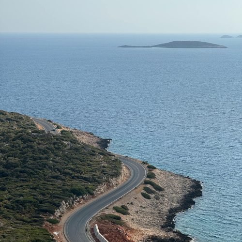 pexels-lumverte-34189639