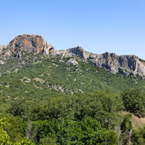 pexels-sergk1-12353699